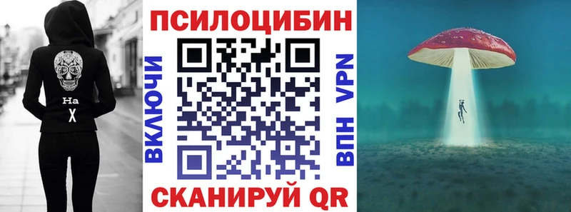 Галлюциногенные грибы Psilocybe  KRAKEN маркетплейс  Татарск 